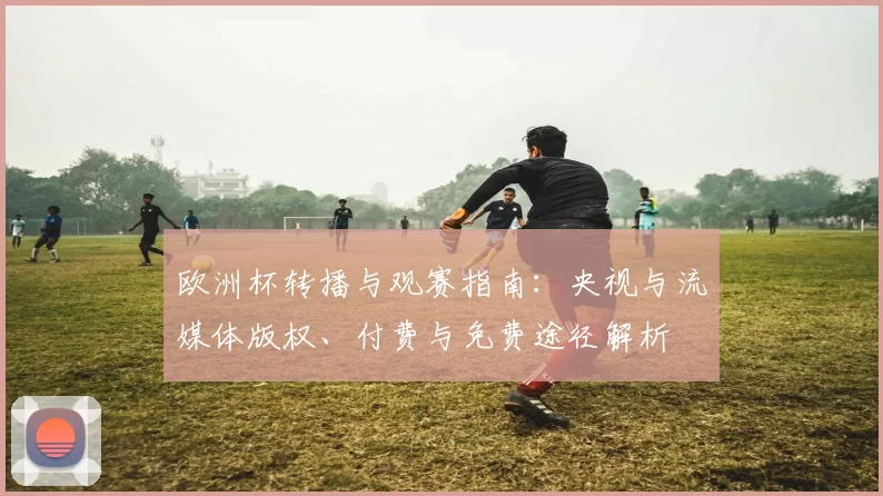 欧洲杯转播与观赛指南:央视与流媒体版权、付费与免费途径解析