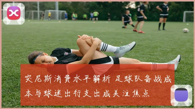 突尼斯消费水平解析 足球队备战成本与球迷出行支出成关注焦点