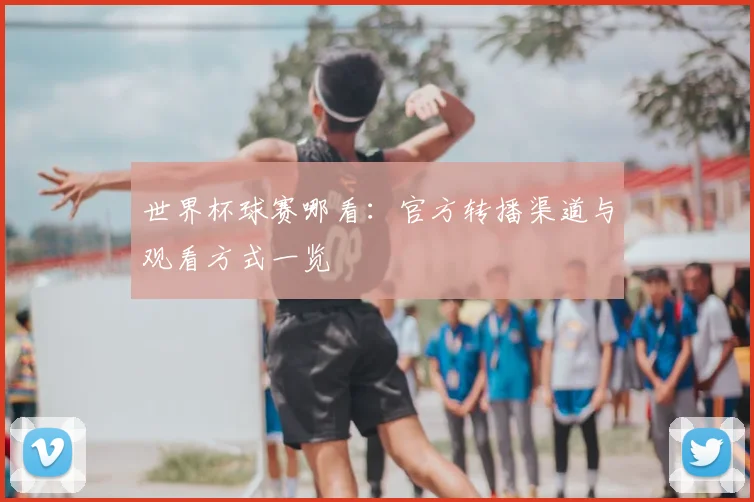 世界杯球赛哪看：官方转播渠道与观看方式一览
