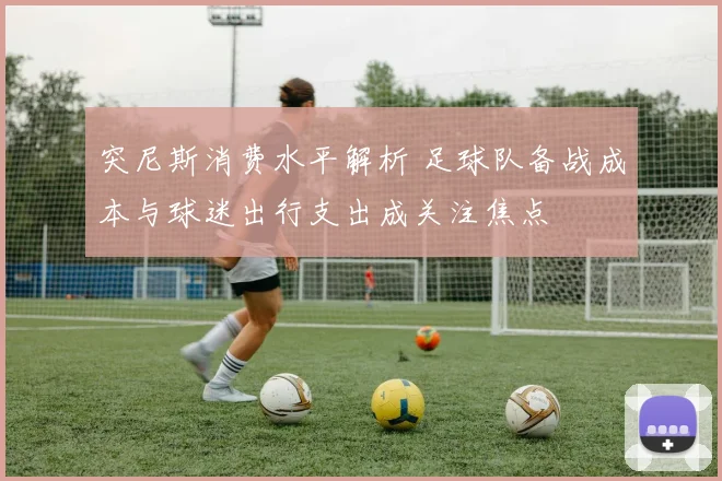 突尼斯消费水平解析 足球队备战成本与球迷出行支出成关注焦点
