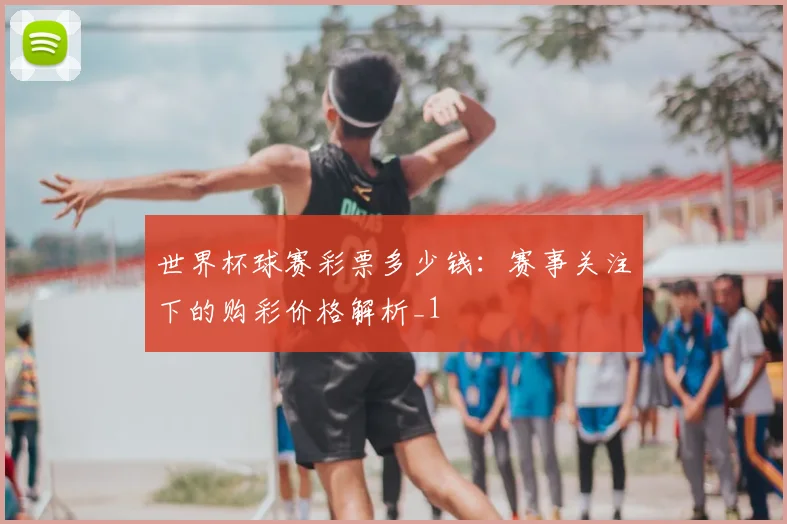 世界杯球赛彩票多少钱：赛事关注下的购彩价格解析_1